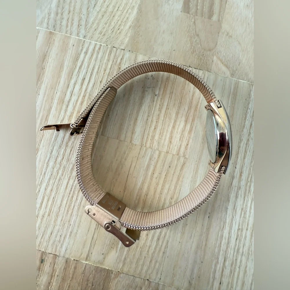 Skagen brand model